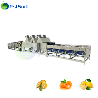 Citrus Air - Lehortzeko Sailkatzeko Makina Ekoizpen Lerroa
